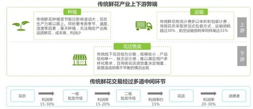 花花世界 從“禮品花”到“日常花”，看鮮花零售業的華麗轉身